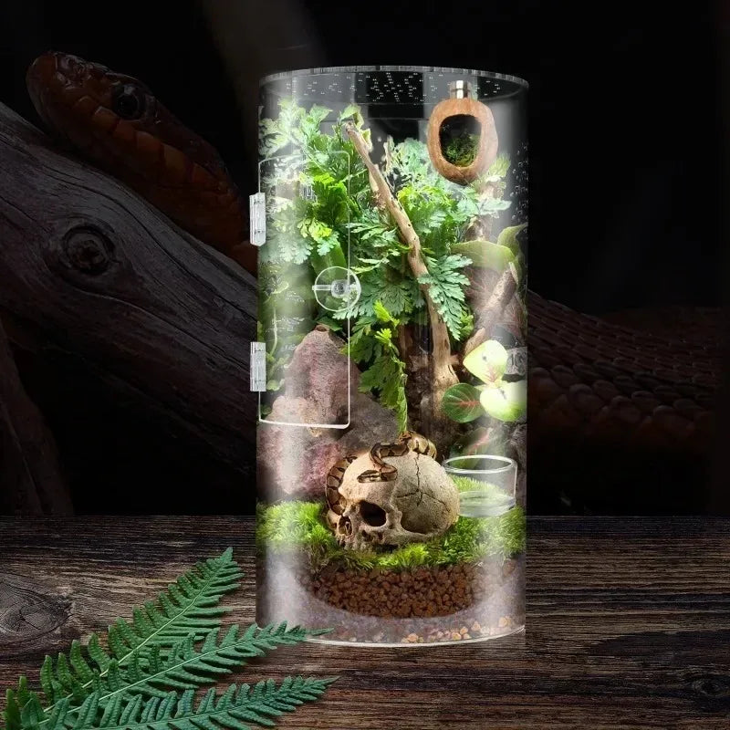 Terrarium vertical en acrylique pour araignées et petits reptiles