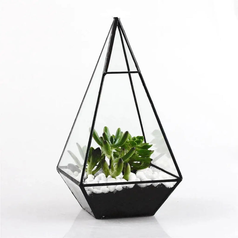 Terrarium pyramide en verre avec cadre métal noir