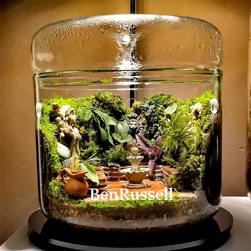 Terrarium bouteille en verre avec couvercle pour mousse et micro-paysages