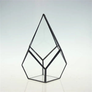 Terrarium diamant en verre pour plantes et succulentes