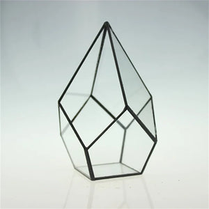 Terrarium diamant en verre pour plantes et succulentes