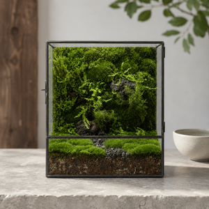Terrarium cube en verre 20 × 13 × 25 cm avec porte