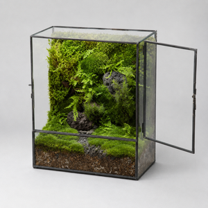 Terrarium cube en verre 20 × 13 × 25 cm avec porte