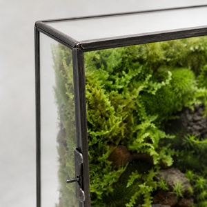 Terrarium cube en verre 20 × 13 × 25 cm avec porte