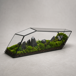 Terrarium géométrique en verre pour mousse et micro-paysages