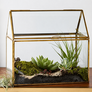 Terrarium géométrique en verre teinté fait main