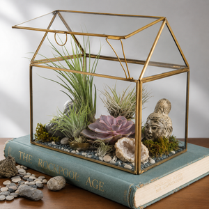 Terrarium géométrique en verre teinté fait main