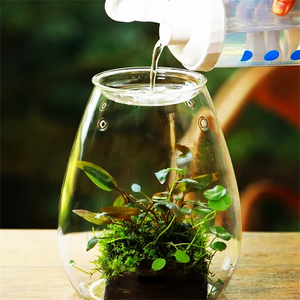 Terrarium bouteille en verre borosilicate avec couvercle
