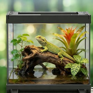 Terrarium en verre transparent empilable pour reptiles