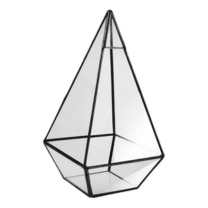 Terrarium pyramide en verre avec cadre métal noir