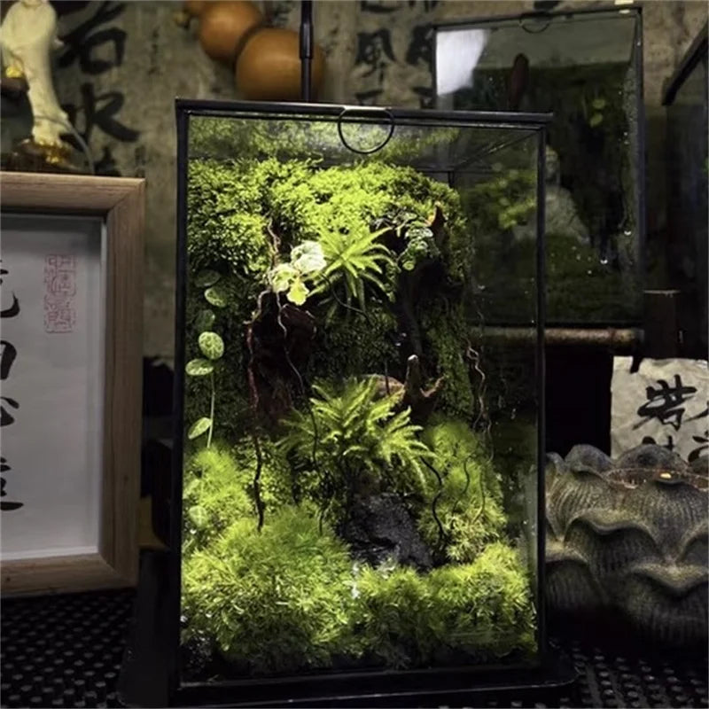 Terrarium géométrique en verre avec porte pour plantes