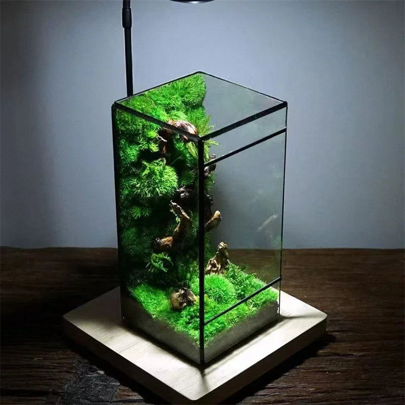 Terrarium géométrique en verre 11 × 11 × 21,5 cm