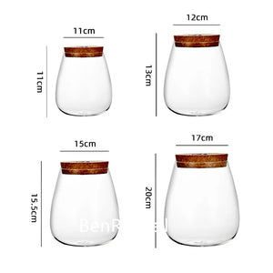 Terrarium en verre borosilicate avec couvercle en liège