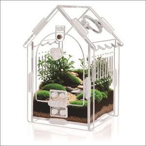 Terrarium en acrylique pour araignées sauteuses avec porte magnétique