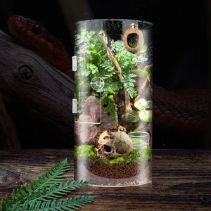 Terrarium vertical en acrylique pour araignées et petits reptiles