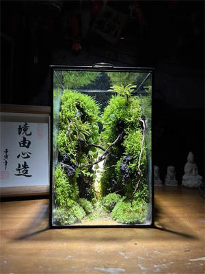 Terrarium géométrique en verre avec porte pour plantes