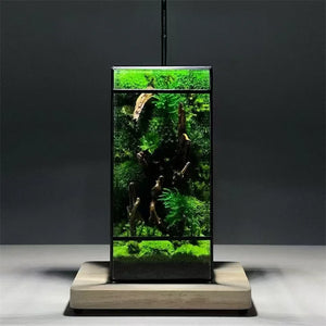 Terrarium géométrique en verre 11 × 11 × 21,5 cm