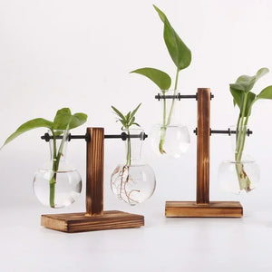 Vase terrarium hydroponique en verre avec support bois