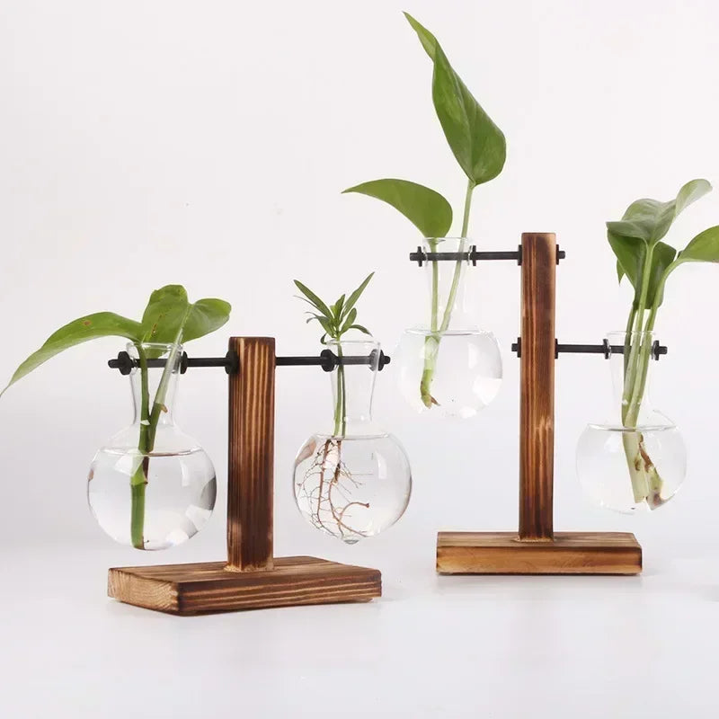 Vase terrarium hydroponique en verre avec support bois