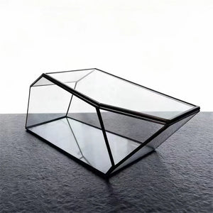 Terrarium géométrique en verre 32,5 cm pour mousse et micro-paysages