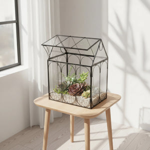 Terrarium maison en verre avec cadre en métal noir