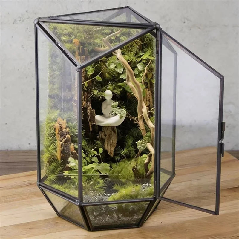 Terrarium hexagonal en verre pour mousse et micro-paysages