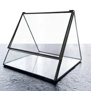 Terrarium triangulaire en verre pour plantes et micro-paysages