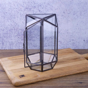 Terrarium hexagonal en verre pour mousse et micro-paysages