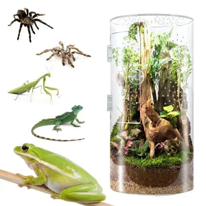 Terrarium vertical en acrylique pour araignées et petits reptiles