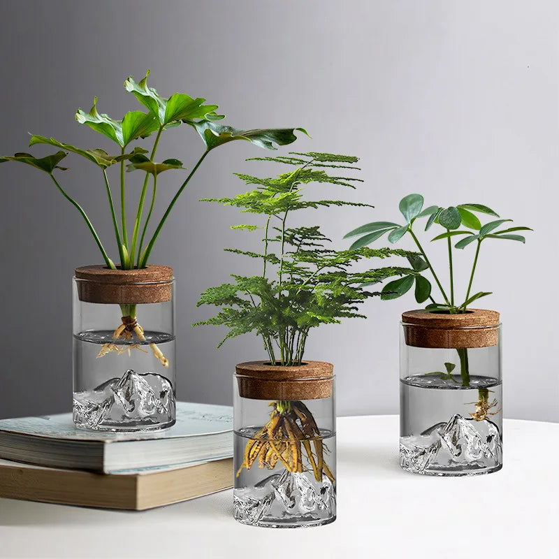 Vase bouteille en verre hydroponique pour plantes d’intérieur
