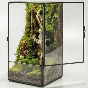 Terrarium carré en verre 11 × 11 × 21,5 cm pour mousse et micro-paysages