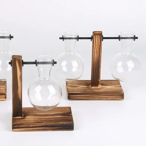 Vase terrarium hydroponique en verre avec support bois