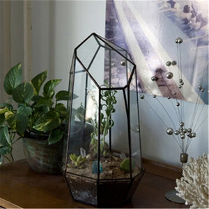 Terrarium quartz en verre pour plantes et micro-paysages