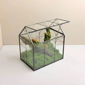 Terrarium en verre 18 × 12 × 22,5 cm pour mousse et micro-paysages