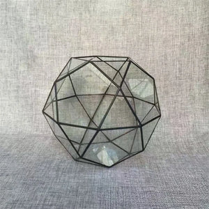 Terrarium dôme géodésique en verre pour plantes