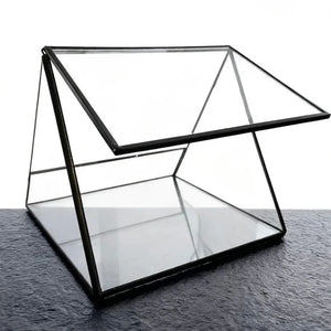 Terrarium triangulaire en verre pour plantes et micro-paysages