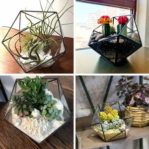 Terrarium géométrique en verre noir pour plantes et décoration