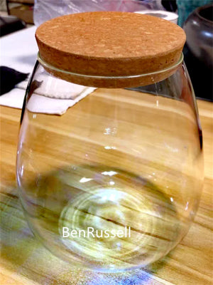 Terrarium en verre borosilicate avec couvercle en liège