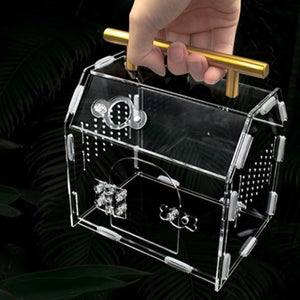 Terrarium portable en acrylique pour petits reptiles et insectes