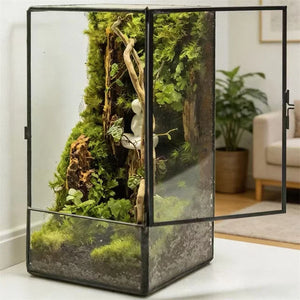 Terrarium carré en verre 11 × 11 × 21,5 cm pour mousse et micro-paysages