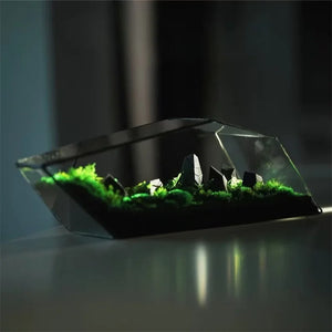 Terrarium géométrique en verre 32,5 cm pour mousse et micro-paysages