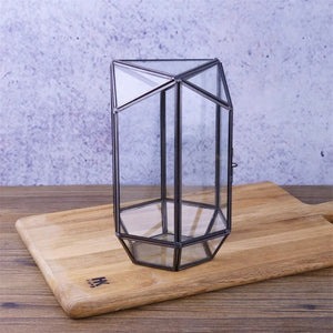 Terrarium hexagonal en verre pour mousse et micro-paysages