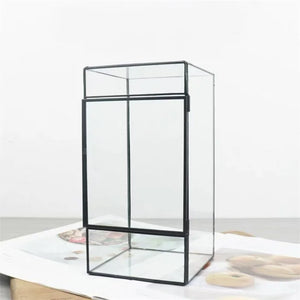 Terrarium géométrique en verre 11 × 11 × 21,5 cm