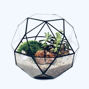 Terrarium dôme géodésique en verre pour plantes