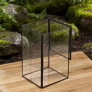 Terrarium géométrique en verre avec porte pour plantes