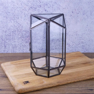 Terrarium hexagonal en verre pour mousse et micro-paysages