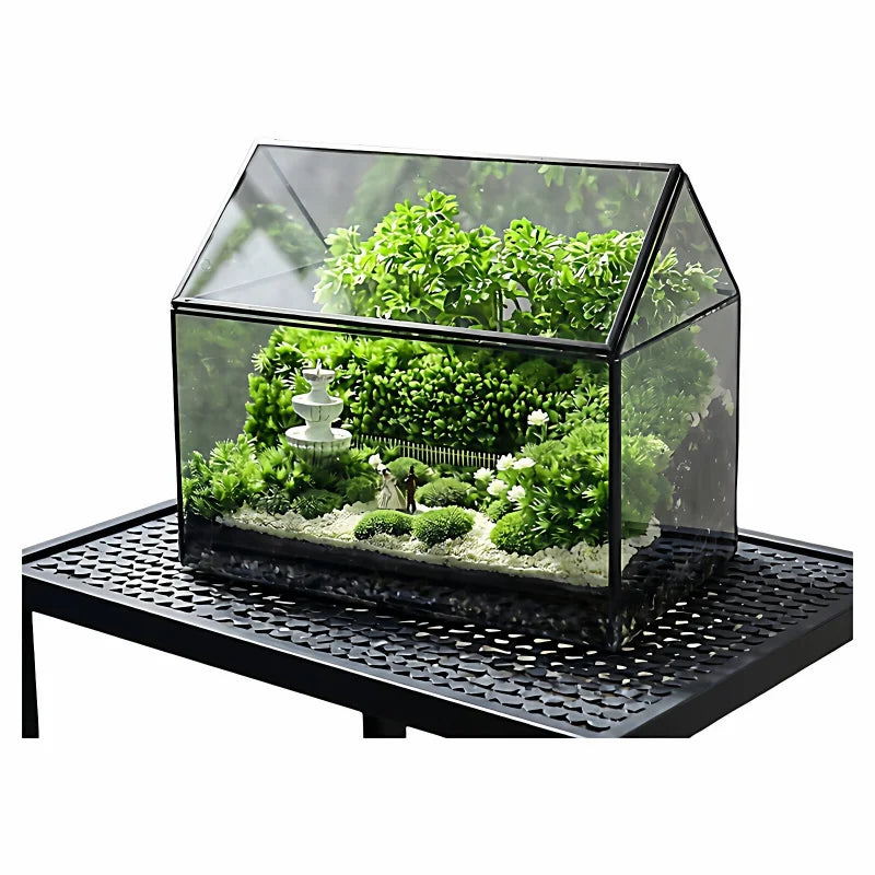 Terrarium rectangulaire en verre avec fenêtre pour plantes